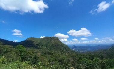 VENDO FINCA AGRÍCOLA