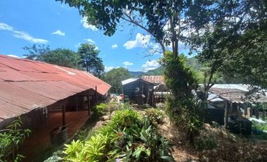 VENDO FINCA AGRÍCOLA