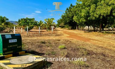 TERRENOS SOBRE CARRETERA EN PUERTO ESCONDIDO