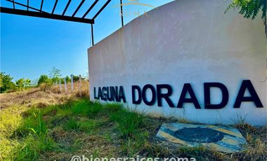 TERRENOS SOBRE CARRETERA EN PUERTO ESCONDIDO