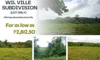 40 SQ.M Straight Monthly Lot for Sale in Carcar City, Cebu