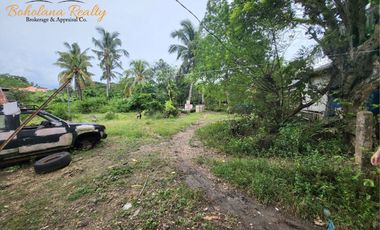 1 Hectare Commercial Lot for Sale in Dampas Tagbilaran City | BOHOLANA REALTY