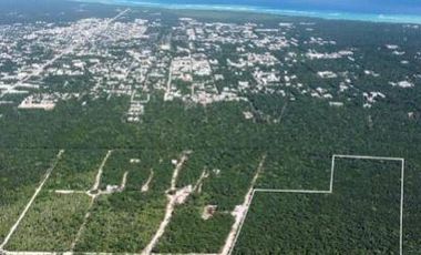 Terrenos residenciales de inversion   Tulum. con Cenote vecino plaza comercial..
