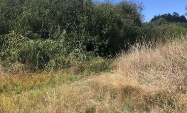 Hermosas parcelas en maravilloso condominio ecologico a 11 km de Villarrica hacia Relun