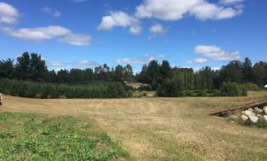 Hermosas parcelas en maravilloso condominio ecologico a 11 km de Villarrica hacia Relun