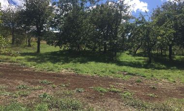 Hermosas parcelas en maravilloso condominio ecologico a 11 km de Villarrica hacia Relun