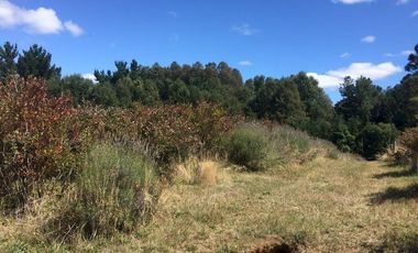 Hermosas parcelas en maravilloso condominio ecologico a 11 km de Villarrica hacia Relun
