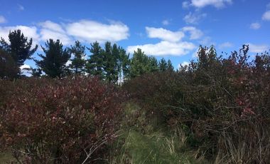 Hermosas parcelas en maravilloso condominio ecologico a 11 km de Villarrica hacia Relun