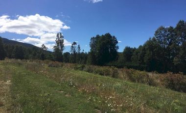 Hermosas parcelas en maravilloso condominio ecologico a 11 km de Villarrica hacia Relun