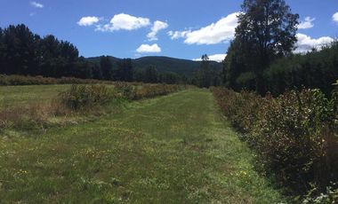 Hermosas parcelas en maravilloso condominio ecologico a 11 km de Villarrica hacia Relun