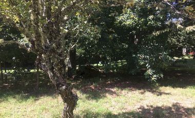 Hermosas parcelas en maravilloso condominio ecologico a 11 km de Villarrica hacia Relun