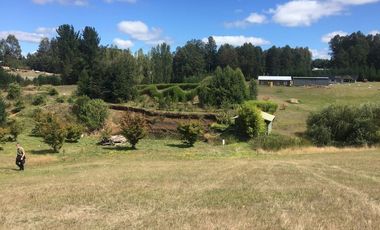 Hermosas parcelas en maravilloso condominio ecologico a 11 km de Villarrica hacia Relun