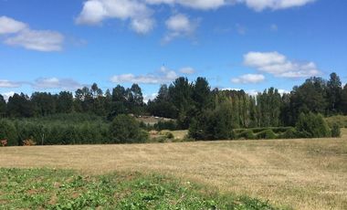 Hermosas parcelas en maravilloso condominio ecologico a 11 km de Villarrica hacia Relun