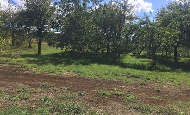 Hermosas parcelas en maravilloso condominio ecologico a 11 km de Villarrica hacia Relun