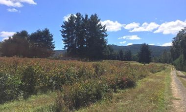 Hermosas parcelas en maravilloso condominio ecologico a 11 km de Villarrica hacia Relun