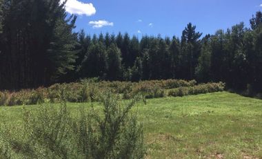 Hermosas parcelas en maravilloso condominio ecologico a 11 km de Villarrica hacia Relun