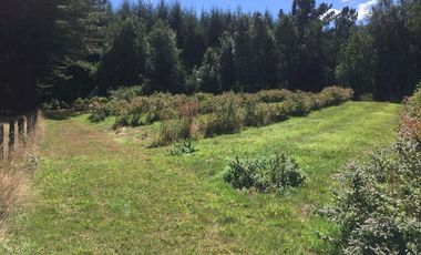 Hermosas parcelas en maravilloso condominio ecologico a 11 km de Villarrica hacia Relun