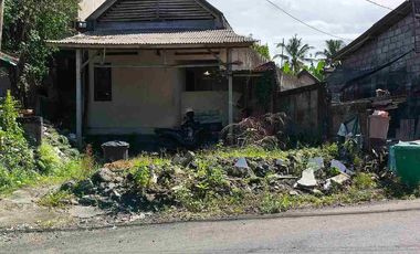 Yellow Zone Land on Tirta Tawar Main Road Ubud Bali