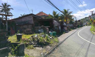 Yellow Zone Land on Tirta Tawar Main Road Ubud Bali