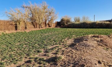 Se Vende Terreno con Cabañas en San Pedro de Atacama