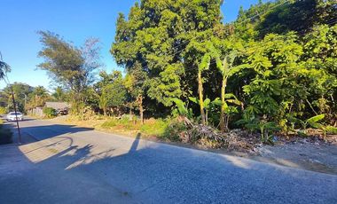 2,907 sqm Prime Vacant Lot for Sale along Nalook Road, Kalibo, Aklan near Kalibo International Airport