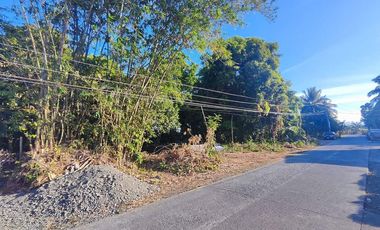 2,907 sqm Prime Vacant Lot for Sale along Nalook Road, Kalibo, Aklan near Kalibo International Airport