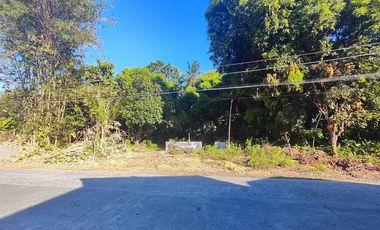 2,907 sqm Prime Vacant Lot for Sale along Nalook Road, Kalibo, Aklan near Kalibo International Airport