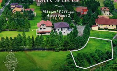 768 sqm Residential Lot for sale in Amore at Portofino Vista Alabang Daang Hari