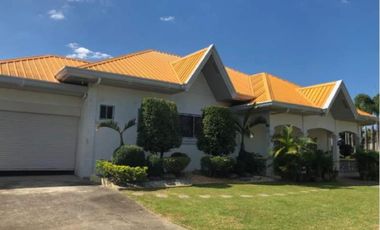 House With A Big Lot In Tarlac With Nice Garden