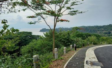 Anvaya Cove house for sale or rent near Subic and Olongapo