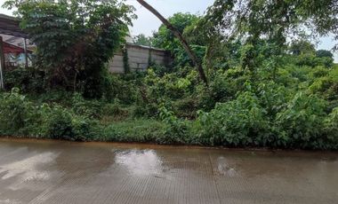 Tanah 2000 m Pinggir Jalan Raya Waringin Kurung Lebar Muka 50 m