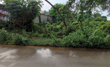 Tanah 2000 m Pinggir Jalan Raya Waringin Kurung Lebar Muka 50 m