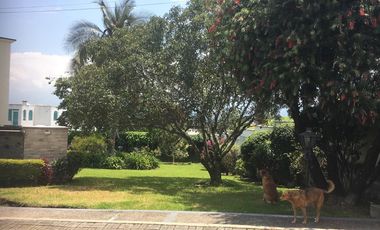 VENTA CASA INDEPENDIENTE URB. COLEGIO DE MÉDICOS SECTOR LA SALLE