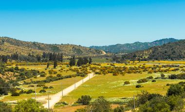 Parcelas de 5.000 m² en Lo Orozco, Camino a Quilpué, Villa Alemana, Curauma y Casablanca. Bono de Dcto $2.000.000