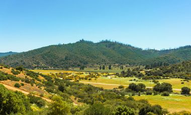 Parcelas de 5.000 m² en Lo Orozco, Camino a Quilpué, Villa Alemana, Curauma y Casablanca. Bono de Dcto $2.000.000