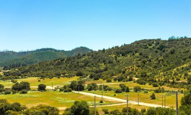 Parcelas de 5.000 m² en Lo Orozco, Camino a Quilpué, Villa Alemana, Curauma y Casablanca. Bono de Dcto $2.000.000