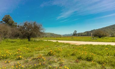Parcelas de 5.000 m² en Lo Orozco, Camino a Quilpué, Villa Alemana, Curauma y Casablanca. Bono de Dcto $2.000.000