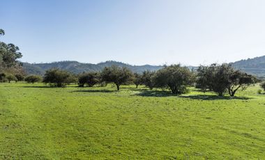 Parcelas de 5.000 m² en Lo Orozco, Camino a Quilpué, Villa Alemana, Curauma y Casablanca. Bono de Dcto $2.000.000