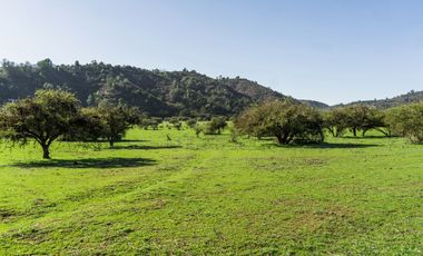 Parcelas de 5.000 m² en Lo Orozco, Camino a Quilpué, Villa Alemana, Curauma y Casablanca. Bono de Dcto $2.000.000