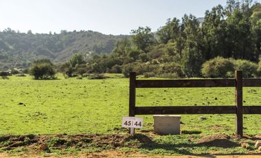 Parcelas de 5.000 m² en Lo Orozco, Camino a Quilpué, Villa Alemana, Curauma y Casablanca. Bono de Dcto $2.000.000