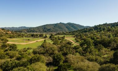 Parcelas de 5.000 m² en Lo Orozco, Camino a Quilpué, Villa Alemana, Curauma y Casablanca. Bono de Dcto $2.000.000