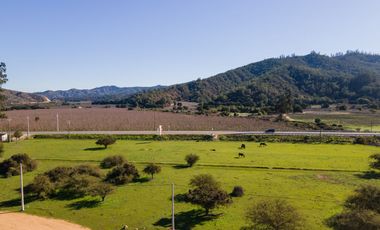 Parcelas de 5.000 m² en Lo Orozco, Camino a Quilpué, Villa Alemana, Curauma y Casablanca. Bono de Dcto $2.000.000
