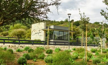 Parcelas de 5.000 m² en Canto del Valle: red de luz y agua operativas, portería, rol propio, reglamento y distintas opciones de relieve.