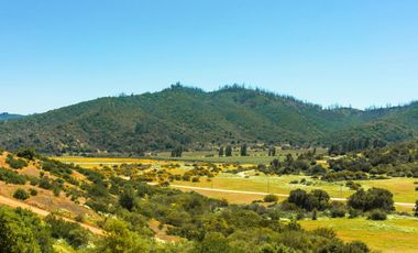 Parcelas de 5.000 m² en Canto del Valle: red de luz y agua operativas, portería, rol propio, reglamento y distintas opciones de relieve.