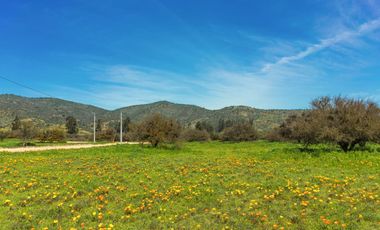 Parcelas de 5.000 m² en Canto del Valle: red de luz y agua operativas, portería, rol propio, reglamento y distintas opciones de relieve.