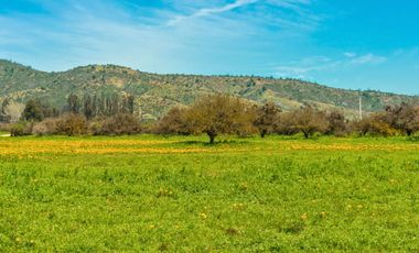 Parcelas de 5.000 m² en Canto del Valle: red de luz y agua operativas, portería, rol propio, reglamento y distintas opciones de relieve.