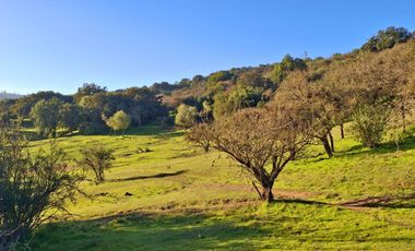 Parcelas de 5.000 m² en Canto del Valle: red de luz y agua operativas, portería, rol propio, reglamento y distintas opciones de relieve.