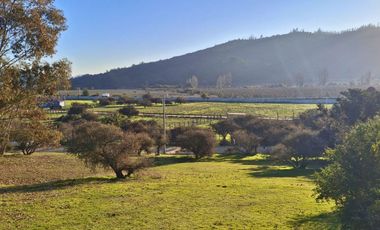 Parcelas de 5.000 m² en Canto del Valle: red de luz y agua operativas, portería, rol propio, reglamento y distintas opciones de relieve.