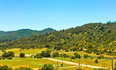 Parcelas de 5.000 m² en Canto del Valle: red de luz y agua operativas, portería, rol propio, reglamento y distintas opciones de relieve.