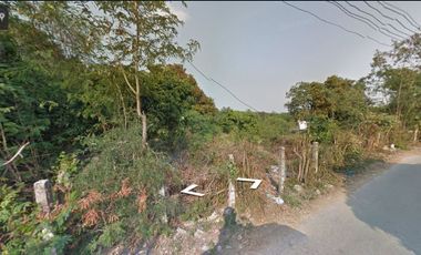 Land for sale in front of Thung Siew market, 8.2.66 rai, 7 million baht, can make a factory, housing estate, Ban Klang Subdistrict, San Pa Tong District, Chiang Mai